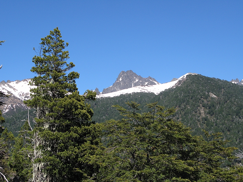 Patagonie 392.jpg